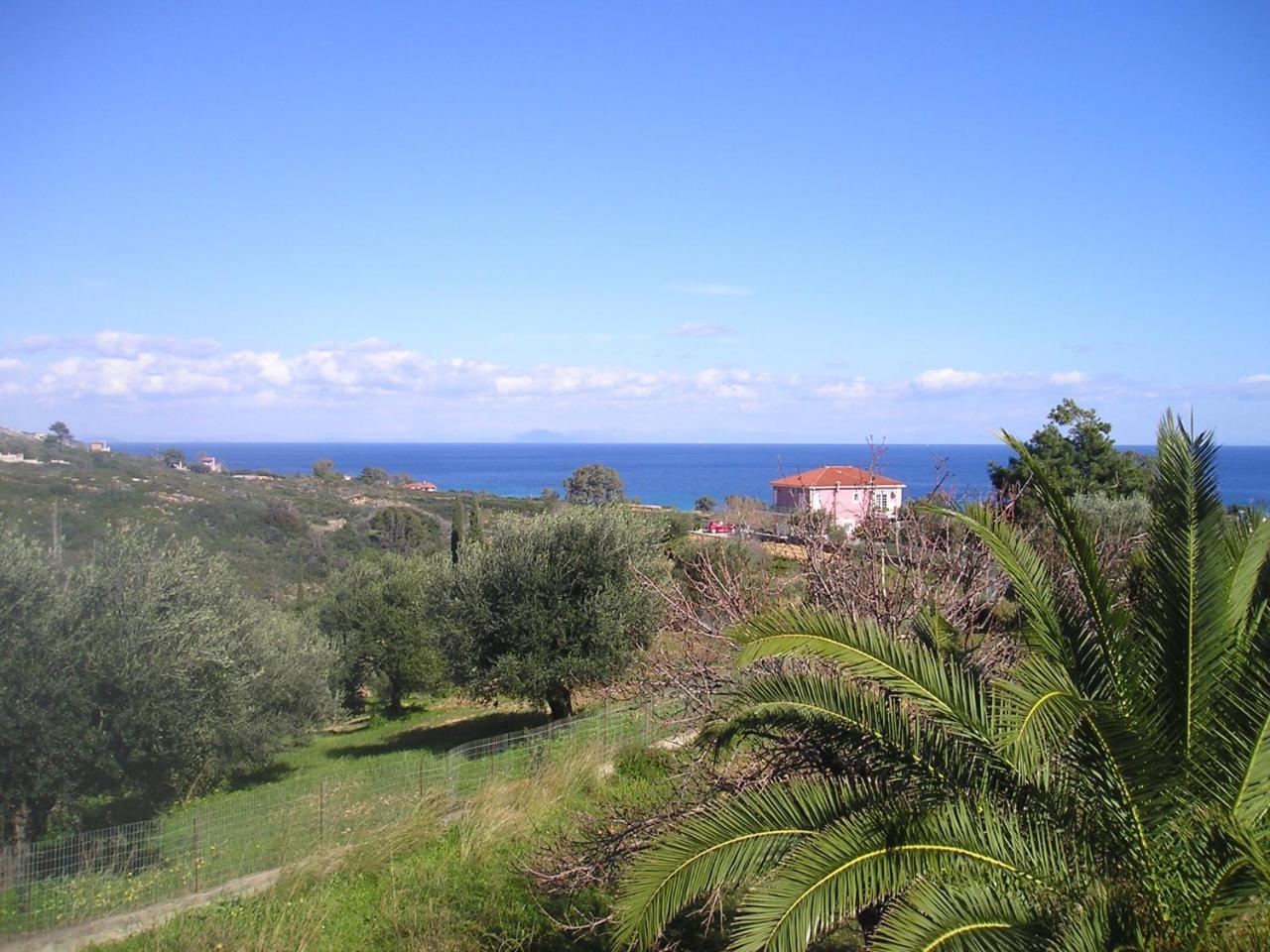 Nikolaos Studios Skala Skala (Kefalonia) Exterior foto