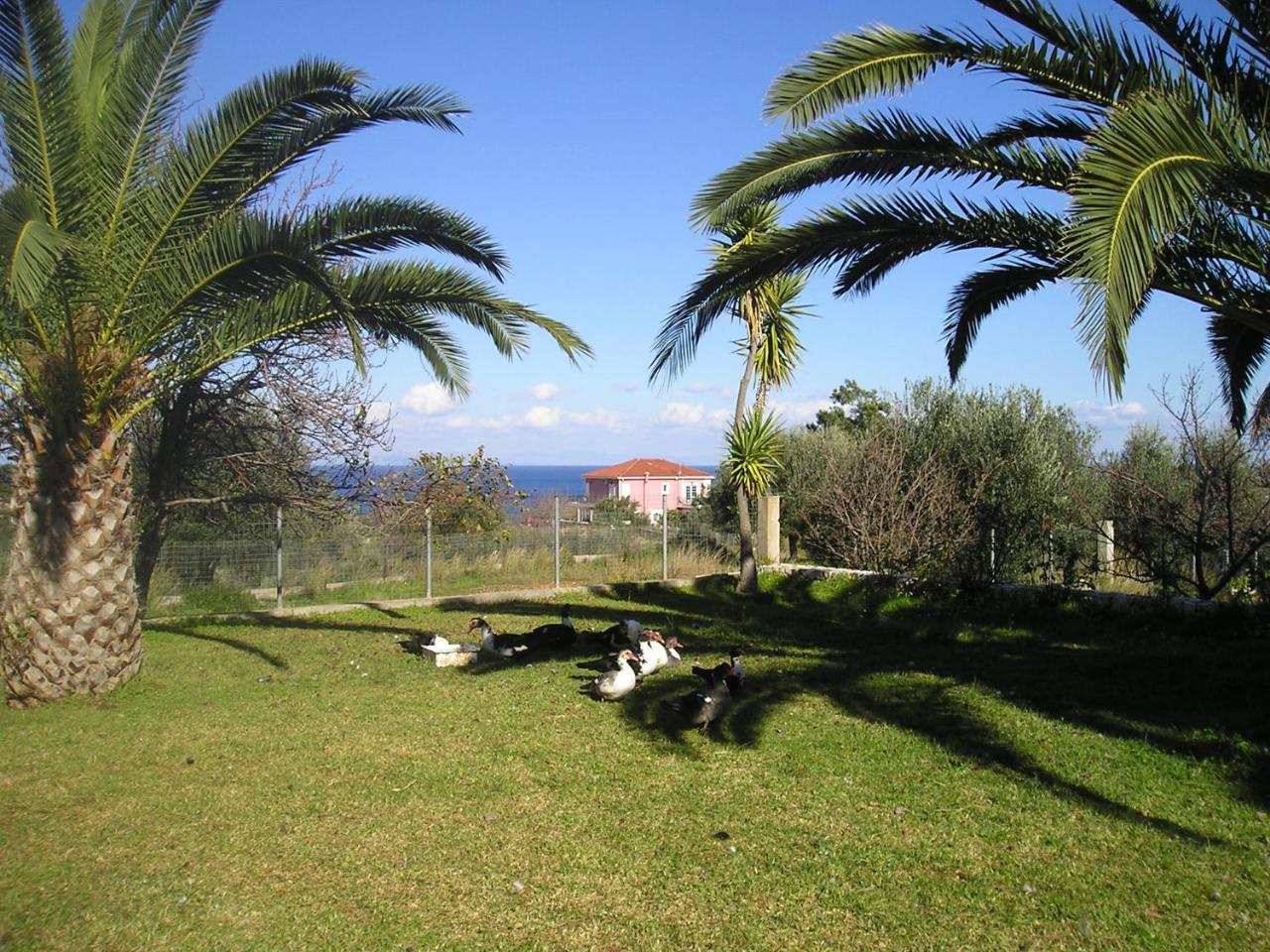 Nikolaos Studios Skala Skala (Kefalonia) Exterior foto